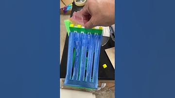 Marble Racer #science