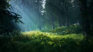 Relaxing Music with Nature Scenes | Calming Music | Deep Relaxing Music For Stress Relief