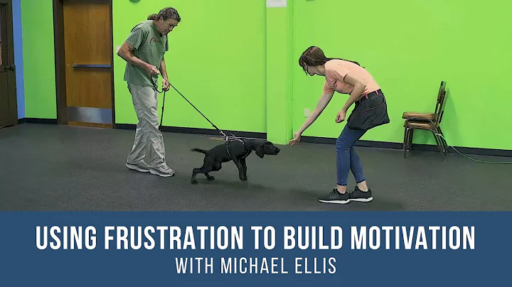 Michael Ellis on Using Frustration to Build Motivation