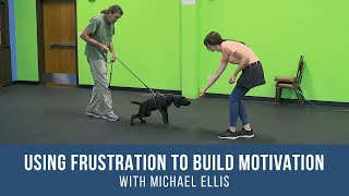 Michael Ellis on Using Frustration to Build Motivation