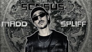 Madd - SPLIFF -- SENSUS (Lyrics)