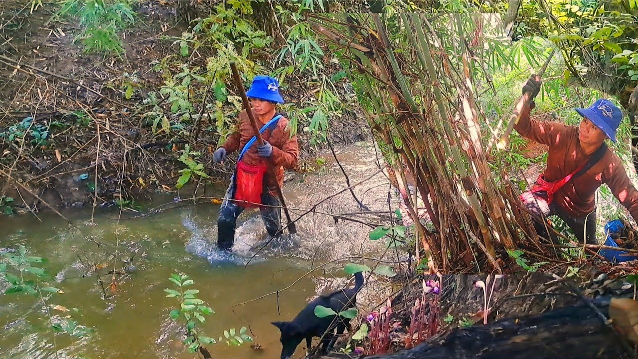 จัดหนัก‼️จัดเต็ม‼️เล่นซะสายเป้สะพายขาด😱😱😱8ก.ย68