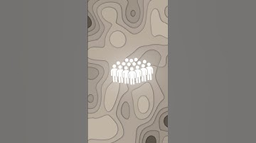 GMB Goldmine #googlemybusiness #googleleads #gmb