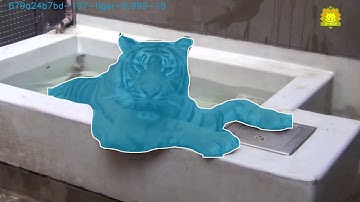 Remark AI placed 2nd in the International Conference for Computer Vision  Video Test