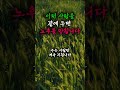 이런 사람을 곁에두면 노후를 망칩니다 #노후준비 #노후 #노후의삶 #노년행복
