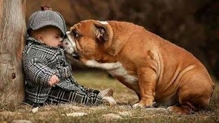 Dogs & Babies ⭐ Ultimate Loyal Protection Compilation ⭐ by Lovers of Dogs 41,282 views 5 years ago 7 minutes, 59 seconds