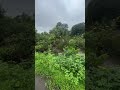 farm land for sale in pali 8788035368