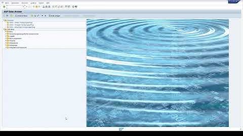 Webshop in SAP – Basic Use of ERP