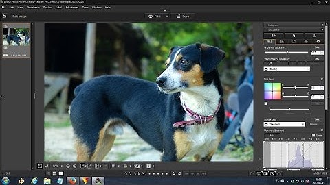 Digital Photo Professional 4 CR2 files part 4
