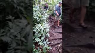 Download lagu Masih di trek yg sama Caldera lake seven mountain kerinci Masih di trek yg sama Caldera lake seven mountain kerinci