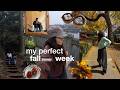 a week of familiar places &amp; faces (autumn diaries)