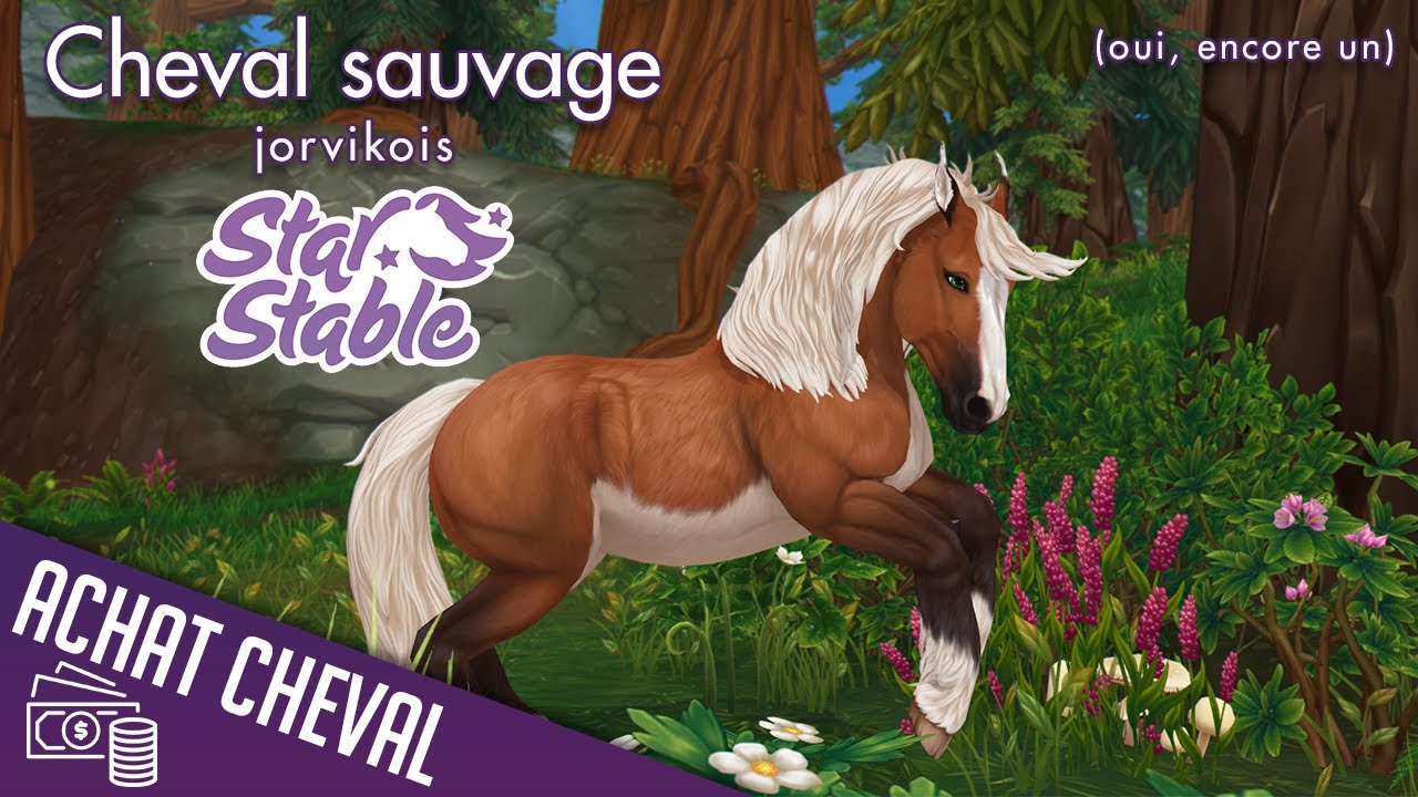 Achat d'un cheval sauvage jorvikois | Star Stable - SSO - YouTube