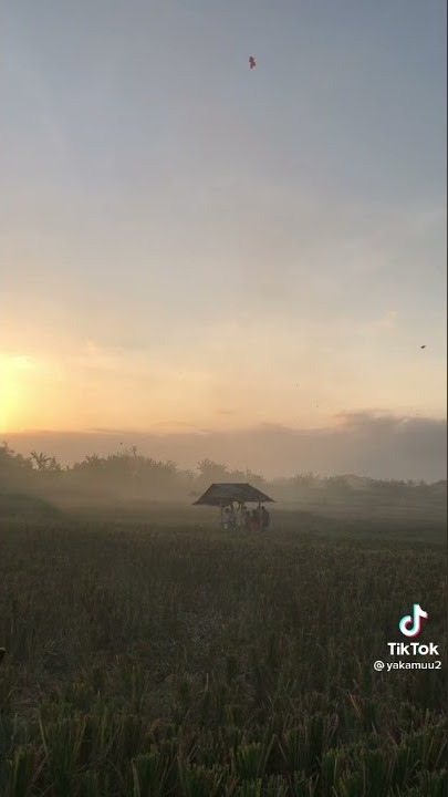 STORY WA PAGI HARI