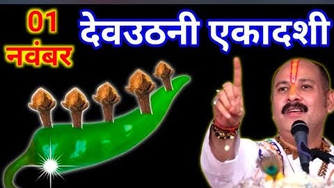 1 नवंबर देवउठनी एकादशी के दिन 5 लौंग मिर्च में गाड़ देना वाला उपाय जरुर करे || Pradeep Ji Mishra 
