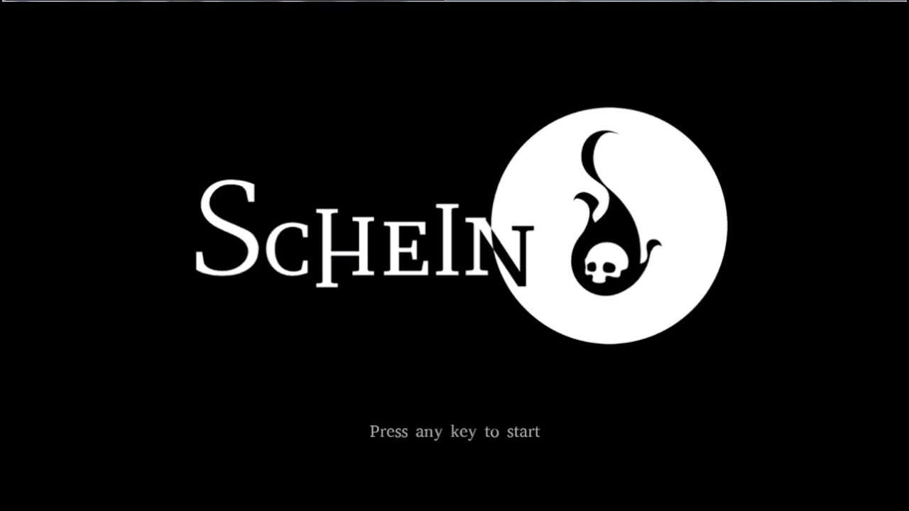 Schein Demo 1