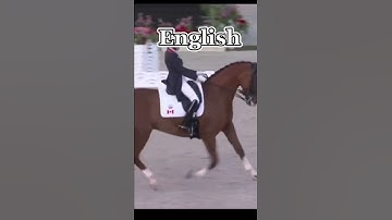 POV:your coach asks if you want to do English or western