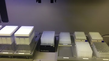 Sirius Automation Plate Handling