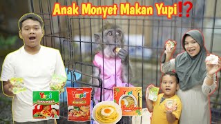 BUY YUPI FOR LALA THE CUTE MONKEY