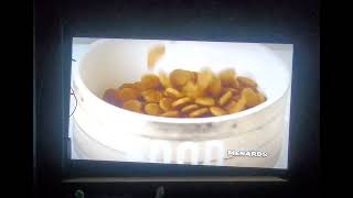 Menards 4" Laminate Countertop and Grain Free Dog Food.
