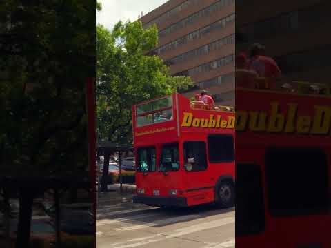 Living In Austin Texas