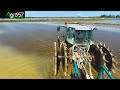 Sowing rice on iron wheels 3x massey ferguson  fertispreaders  farmingtogether  sulkyofficiel