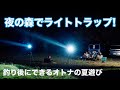 夜の森で何が起きた? 釣り部的、ライトトラップのすすめ。
