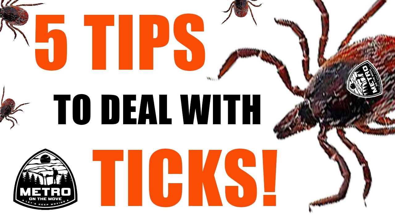 do ticks travel in packs