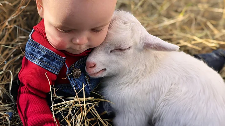 Adorable Baby & Animal Moments You Must See!😍 Animal and Human Videos 2025 thumbnail