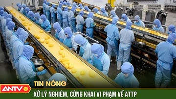 Hà Nội sẽ công khai doanh nghiệp, người sản xuất vi phạm an toàn thực phẩm | ANTV