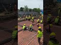 Slab Rebar Installation. #shorts #engineering #structure #construction