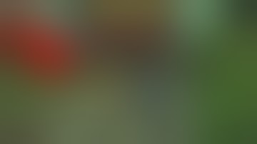 He Was Posing for a Photo Right on the Train Tracks… Then THIS Happened!