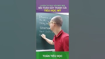 BÀI TOÁN TIỂU HỌC GÂY TRANH CÃI CỦA TIỂU HỌC MỸ - The controversial American elementary math problem