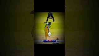 prime boult 🖤💯 #shortvideo #cricket #shortsfeed #foryou #viral