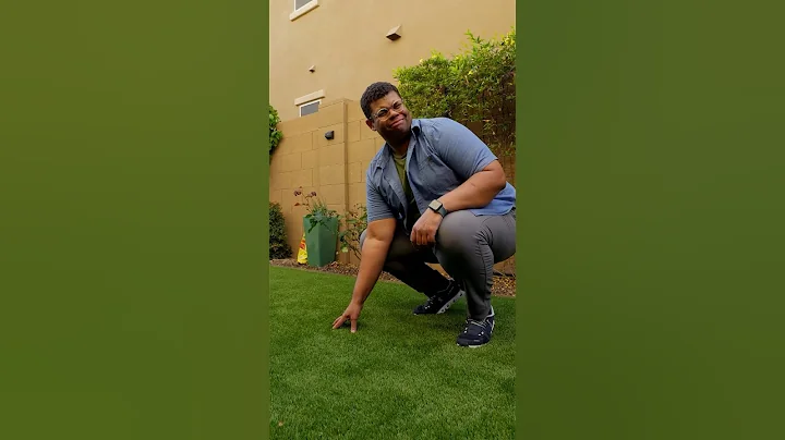 How to clean your turf properly #turf #clean #cleaning #turfgrass #problemsolved