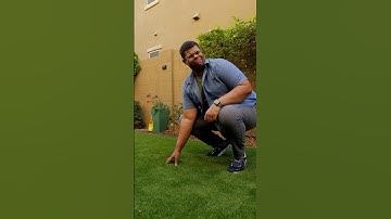 How to clean your turf properly #turf #clean #cleaning #turfgrass #problemsolved