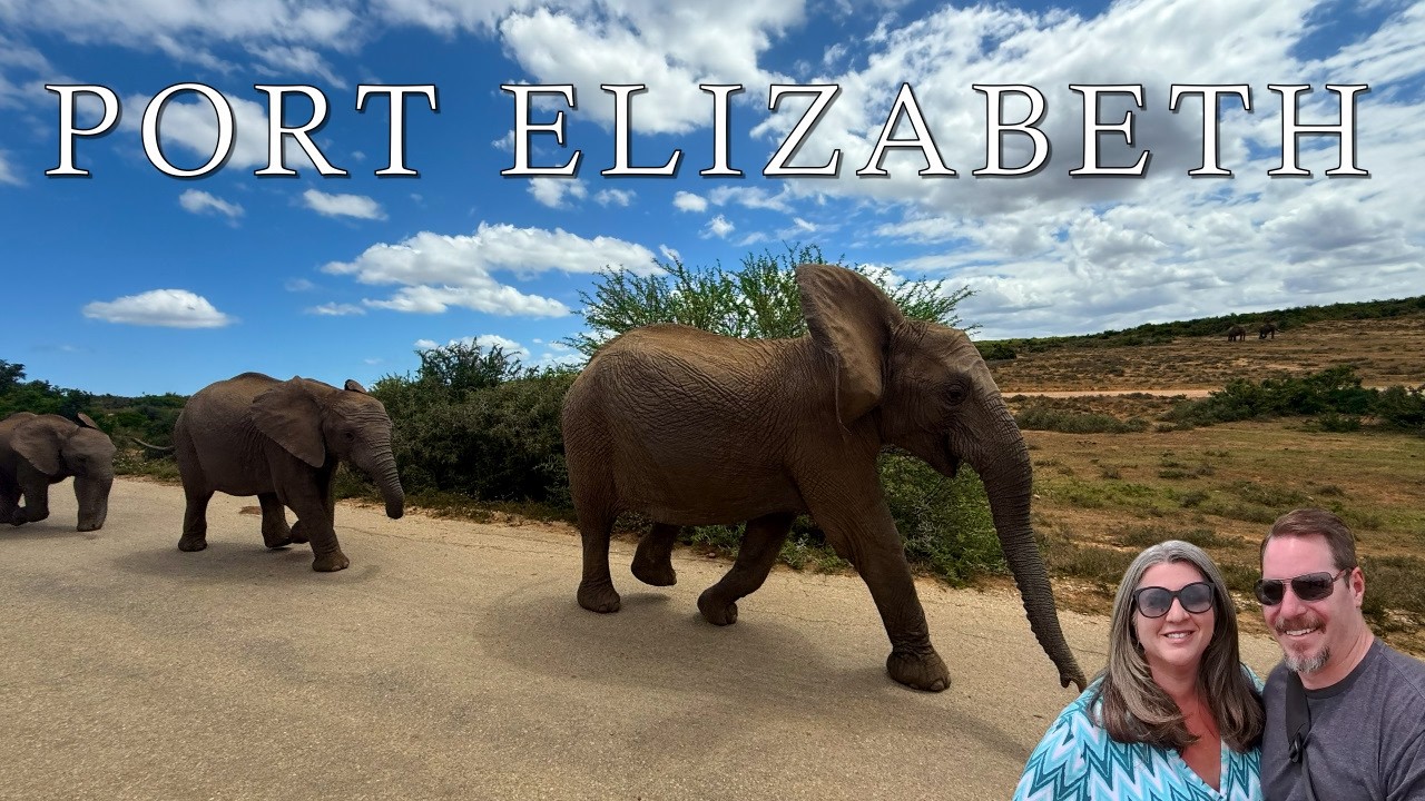 We Go on a Safari in Port Elizabeth, South Africa!