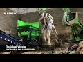 RENTEC shredding C&amp;I waste