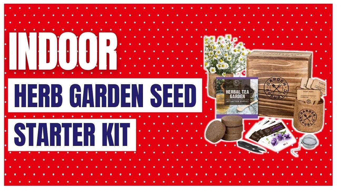 Indoor Herb Garden Seed Starter Kit YouTube