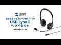 USB Type-Cで使えるヘッドセット MacBookでSkype・音声チャットを楽しめる 雑音が少ない高音質 MM-HSTC01BK