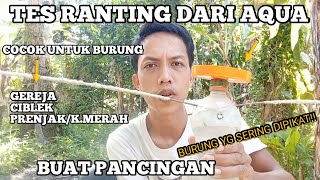 Mencoba trik pancingan khusus!! Buat burung kecil yg sering di pikat