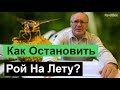 №120 Как Остановить Рой на Лету, Почему Рой, Пчелиный рой |  Пасека | Пчеловодство для начинающих