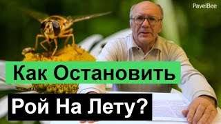 №120 Как Остановить Рой на Лету, Почему Рой, Пчелиный рой | Пасека | Пчеловодство для начинающих №120 Как Остановить Рой на Лету, Почему Рой, Пчелиный рой | Пасека | Пчеловодство для начинающих