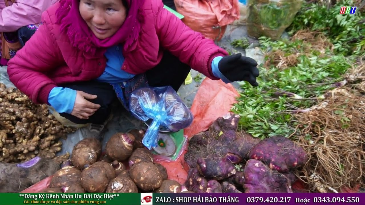 CHỢ TÂY BẮC CUỐI NĂM - NHỘN NHỊP | Ẩm Thực Lôi Cuấn - Của Rừng Hiếm Gặp - Vật Lạ Du Khách Tranh Mua