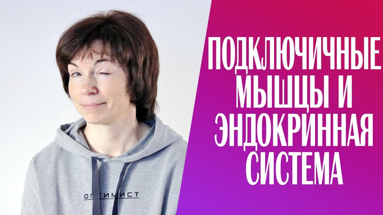 #234 Подключичные мышцы и эндокринная система.