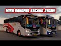 Mira Gandeng Sugeng Rahayu Kacang Atom!! Jam Malam Surabaya -Jogja | ETS-2 INDONESIA