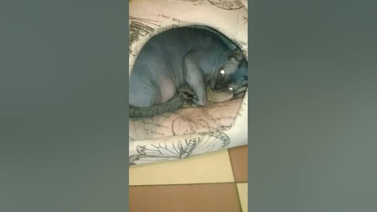 прізрак - YouTube