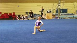 Lindsay Level 3 2017 gymnastics