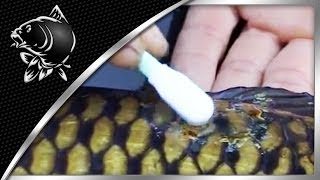 Nash Medi Carp Refill Sebfertőtlenítő 25Ml videó