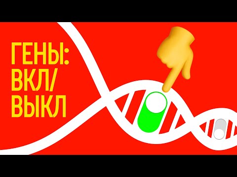 Видео: Сколько генов контролируют вращение языка?