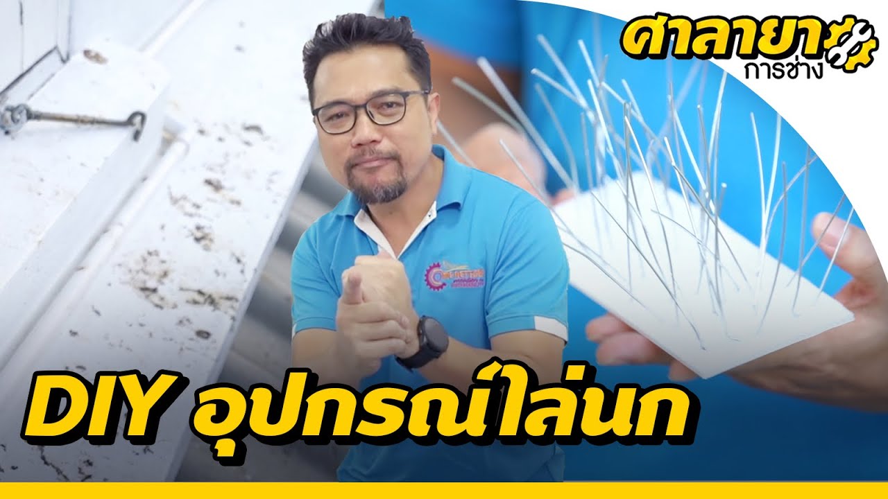 ไล่นกบนหลังคาบ้านและระเบียง DIY อุปกรณ์ไล่นก | ศาลายาการช่าง
